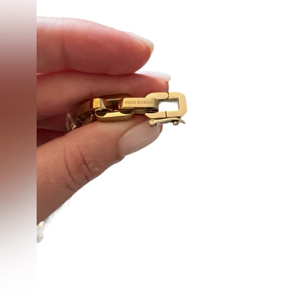 EDDIE BORGO Chain Link Necklace & Earrings set - Picture 11 of 12